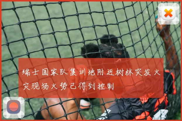 瑞士国家队集训地附近树林突发火灾现场火势已得到控制