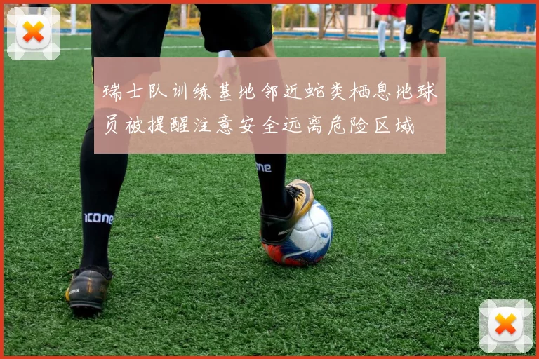瑞士队训练基地邻近蛇类栖息地球员被提醒注意安全远离危险区域