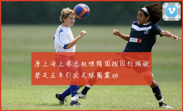原上海上港总经理隋国扬因行贿被禁足五年引发足球圈震动