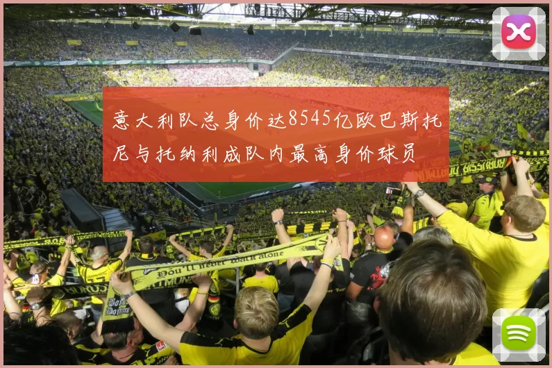 意大利队总身价达8545亿欧巴斯托尼与托纳利成队内最高身价球员
